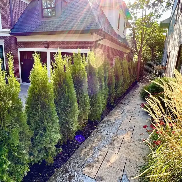 RD Landscaping Work Results